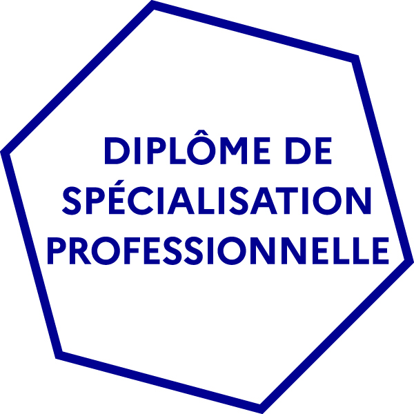 Logo Diplôme de Spécialisation Professionnelle
